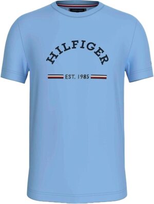 Camiseta Tommy Hilfiger MW0MW35466 C1Z - Masculina