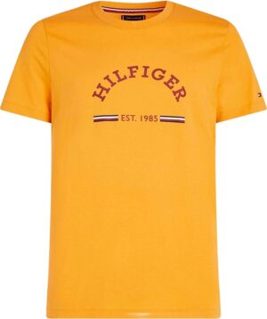 Camiseta Tommy Hilfiger MW0MW35466 ZE1 - Masculina