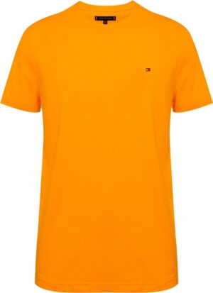Camiseta Tommy Hilfiger MW0MW10839 ZE1 - Masculina