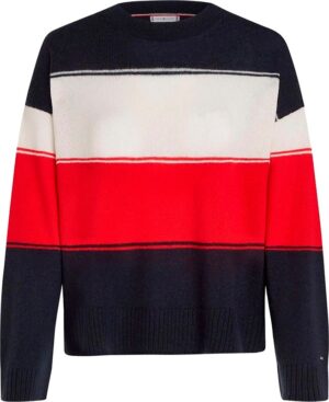 Suéter Tommy Hilfiger WW0WW42371 03K - Femenino