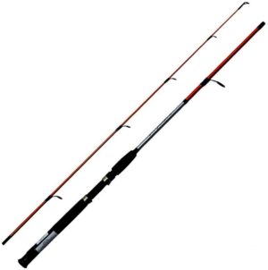 Caña Shimano Cruzar CRZAXFGR2602 1.80m 8-16lb 2 Partes (Reel Frontal)