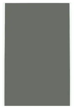 Película Universal Anti Curioso para Celular/Apple Watch