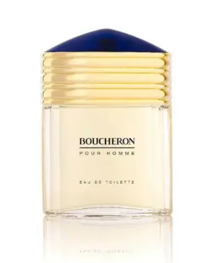 Perfume Boucheron Homme 100ml