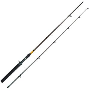 Caña Shimano Aeroglass FXC66MHC2 1.98m 10-20lb 2 Partes (Carrete)