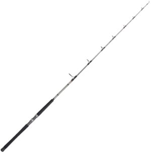 Vara Marine Sports Giant Catfish GC2-S661XH 1.98m 60-120lb (Reel Frontal)