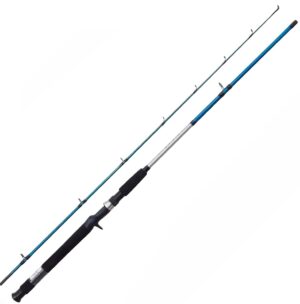 Caña Shimano Cruzar CRZAXFGB2662B 1.98m 10-20lb 2 Partes (Reel Frontal)