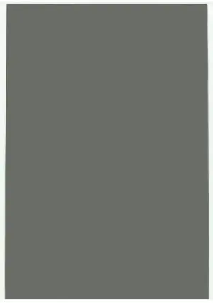 Película Universal Anti Curioso para Tablet (300mm x 200mm)