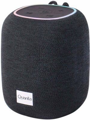 Speaker Quanta QTSPA10 Bluetooth 10W - Gris