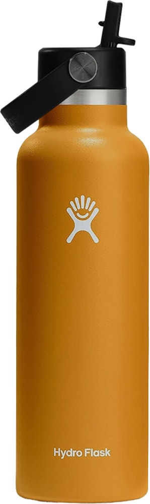 Botella Térmica Hydro Flask S21FS162 Fossil 621 mL