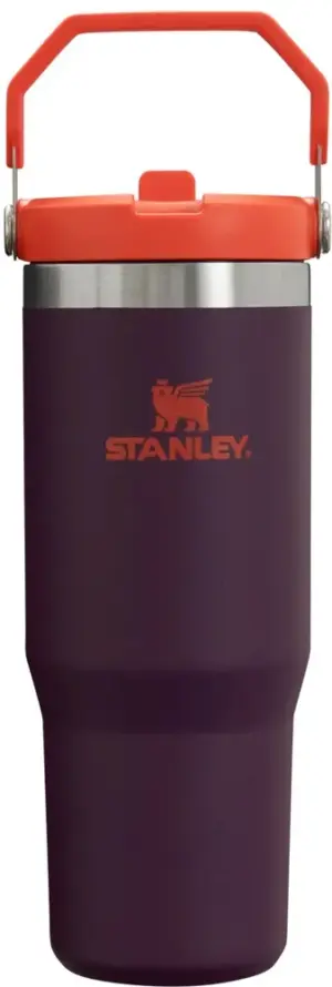 Vaso Térmico con pico Stanley Flip Straw Tumbler 10-09993-767 (887mL) Plum