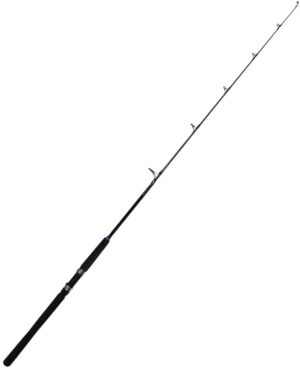 Caña Marine Sports Evolution EVGT2-S601M 1.83m 20-50lb (Reel Frontal)