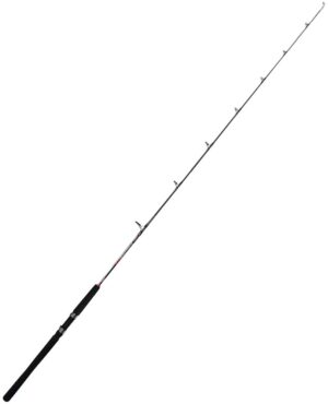 Vara Marine Sports Evolution GT EVGT-C661XH 6'6" 1,98m 40-80lb - (Reel Frontal)