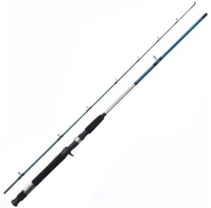 Caña Shimano Cruzar CRZAXFGB2702B 2.13m 10-20lb 2 Partes (Reel Rotativo)