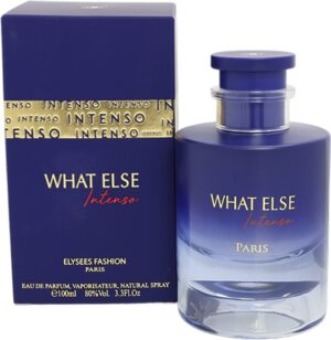 Perfume Elysees Fashion What Else Intenso EDP 100ml - Masculino