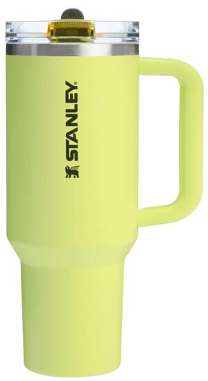 Vaso Térmico Stanley Quencher Protour Tumbler 10-12486-411 (1.18L) Prickly Pear